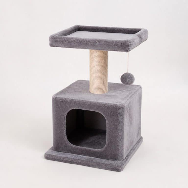 Petit arbre à chat compact sur fond neutre