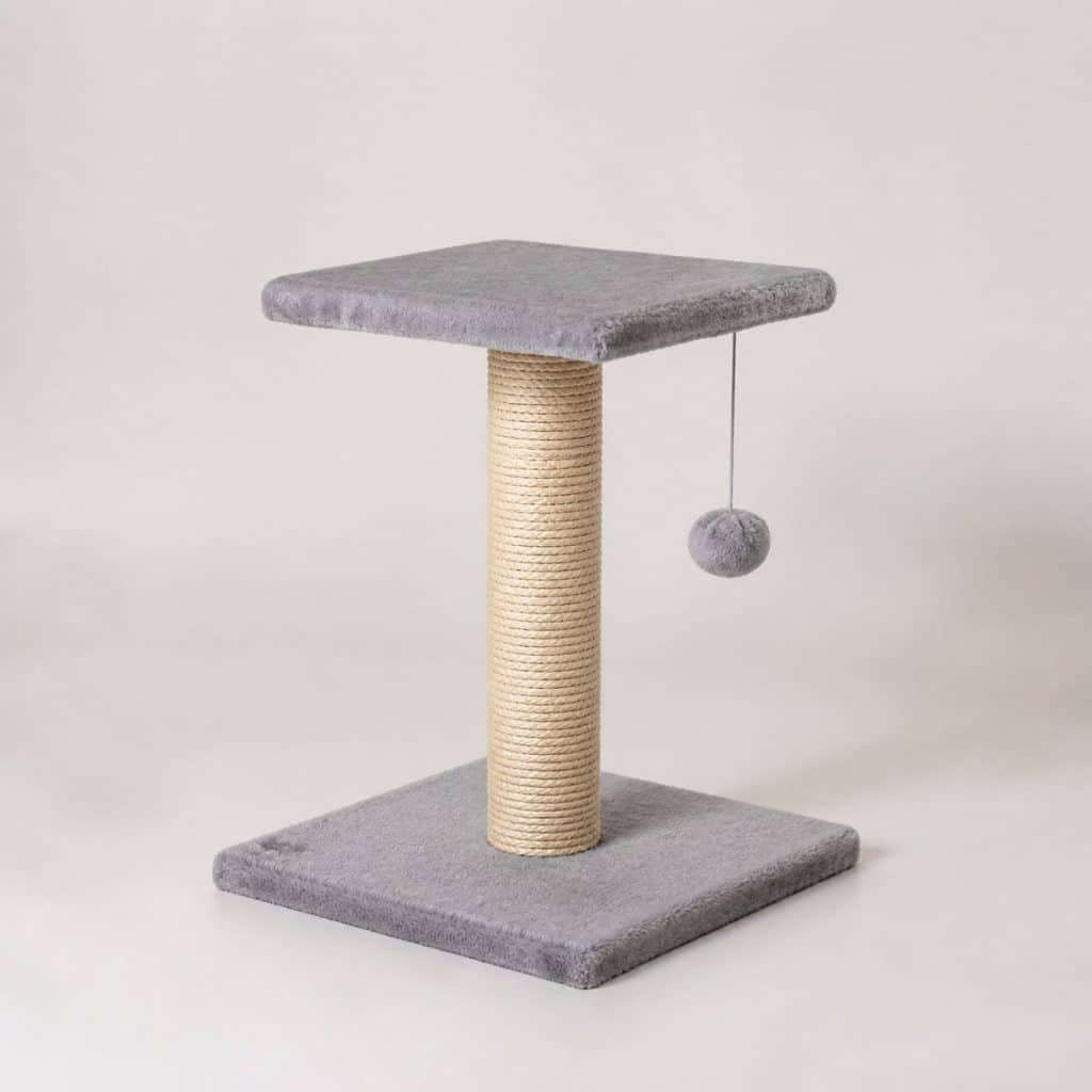Arbre à chat économique simple sur fond neutre