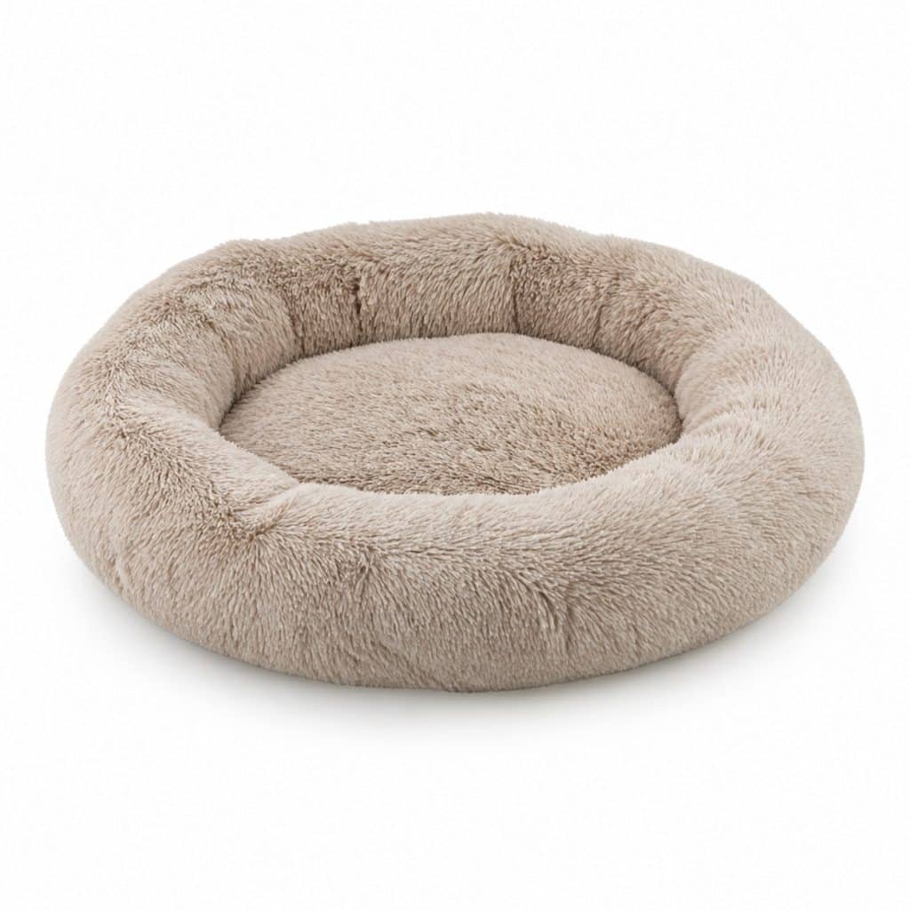 Coussin rond à rebord pour chat, vue de dessus sur fond neutre