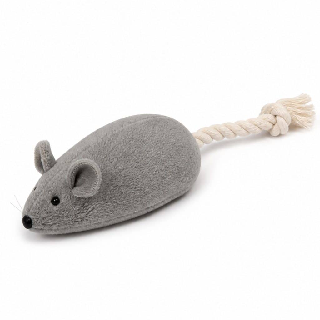 Souris mécanique à piles pour chat sur fond neutre