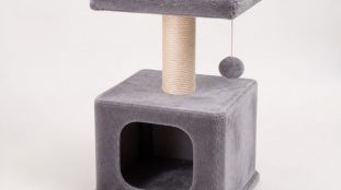 Petit arbre à chat compact sur fond neutre