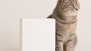 Boîte de comprimés vitaminés pour chat senior posée sur fond neutre